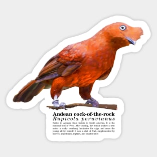 Andean cock-of-the-rock tropical bird black text Sticker